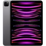 Apple iPad Pro 11 2022 Wifi + Cellular